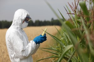 Read more about the article Did You Know~ Non-Organic Crops Are About to Become Much More Toxic